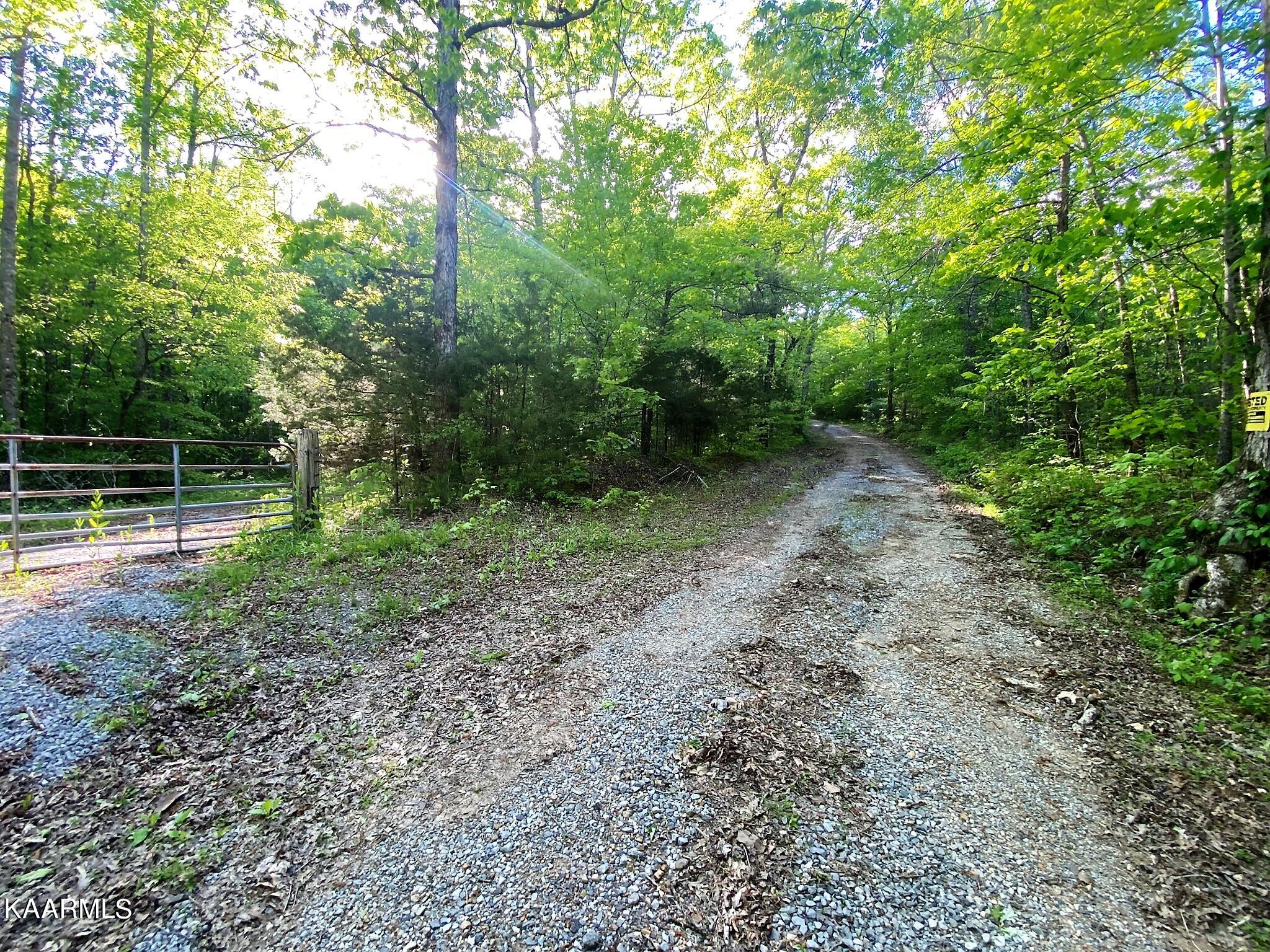 201 Pekoma Road Philadelphia, TN 37846 - Photo 18 of 27 Private Road Past Entrance