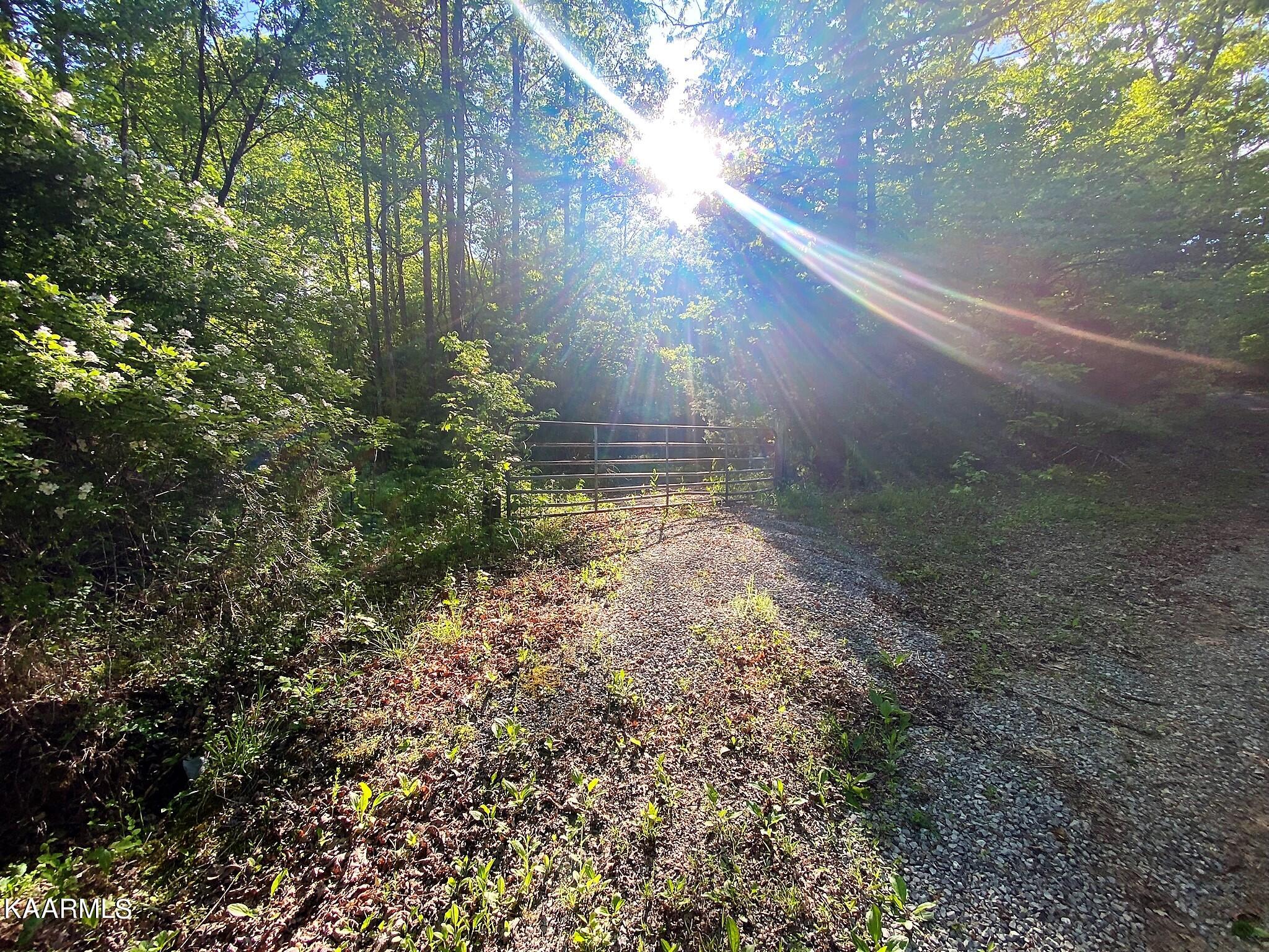 201 Pekoma Road Philadelphia, TN 37846 - Photo 19 of 27 SunSet