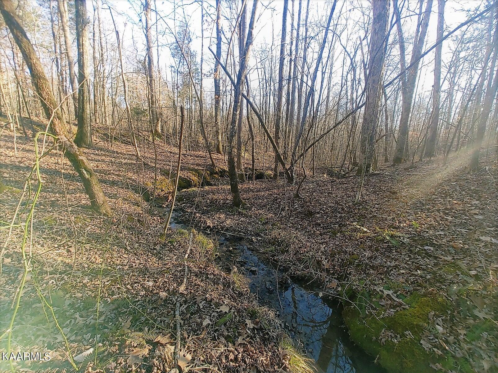 201 Pekoma Road Philadelphia, TN 37846 - Photo 23 of 27 Winter Creek1