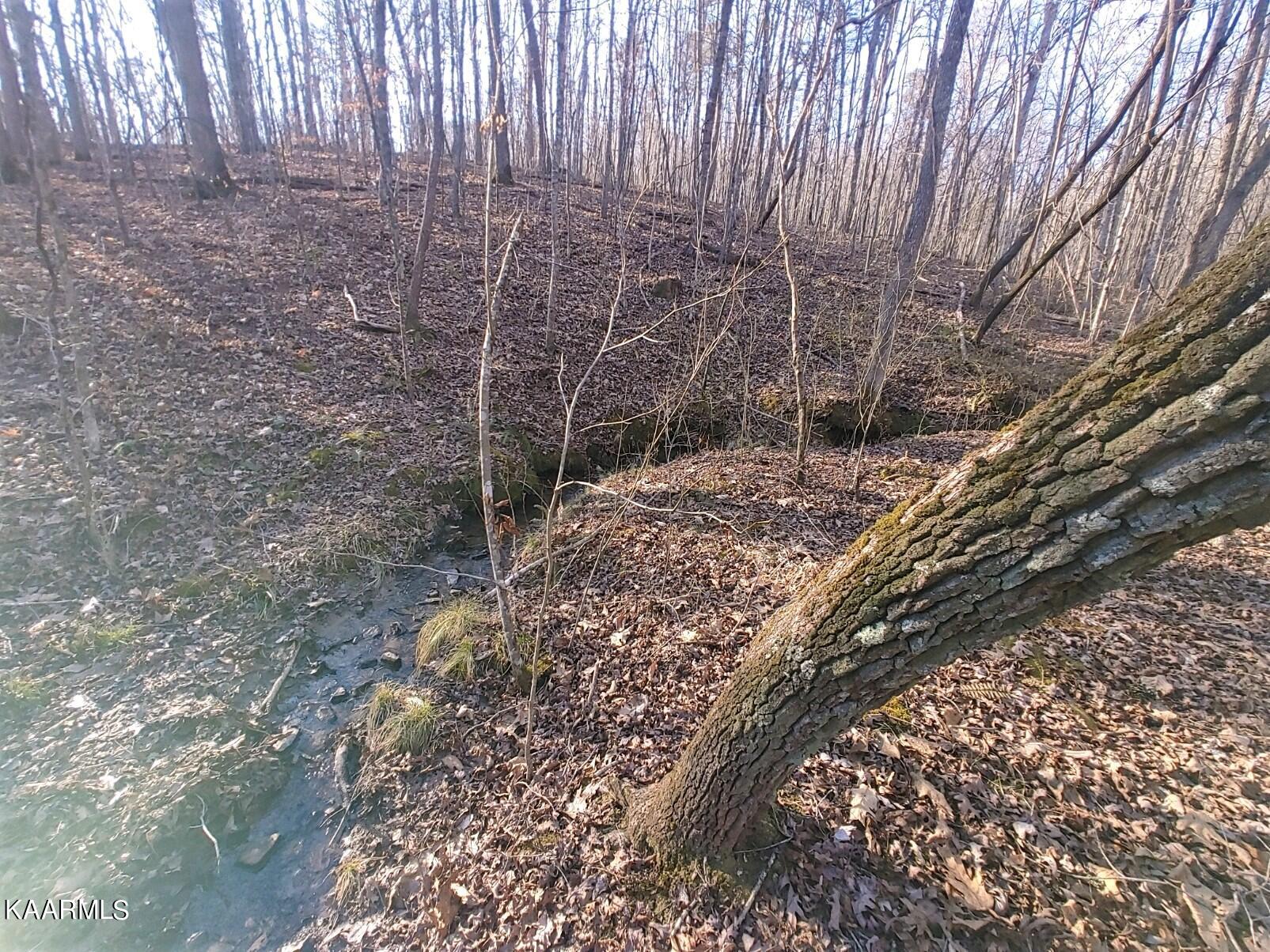 201 Pekoma Road Philadelphia, TN 37846 - Photo 24 of 27 Winter Creek2