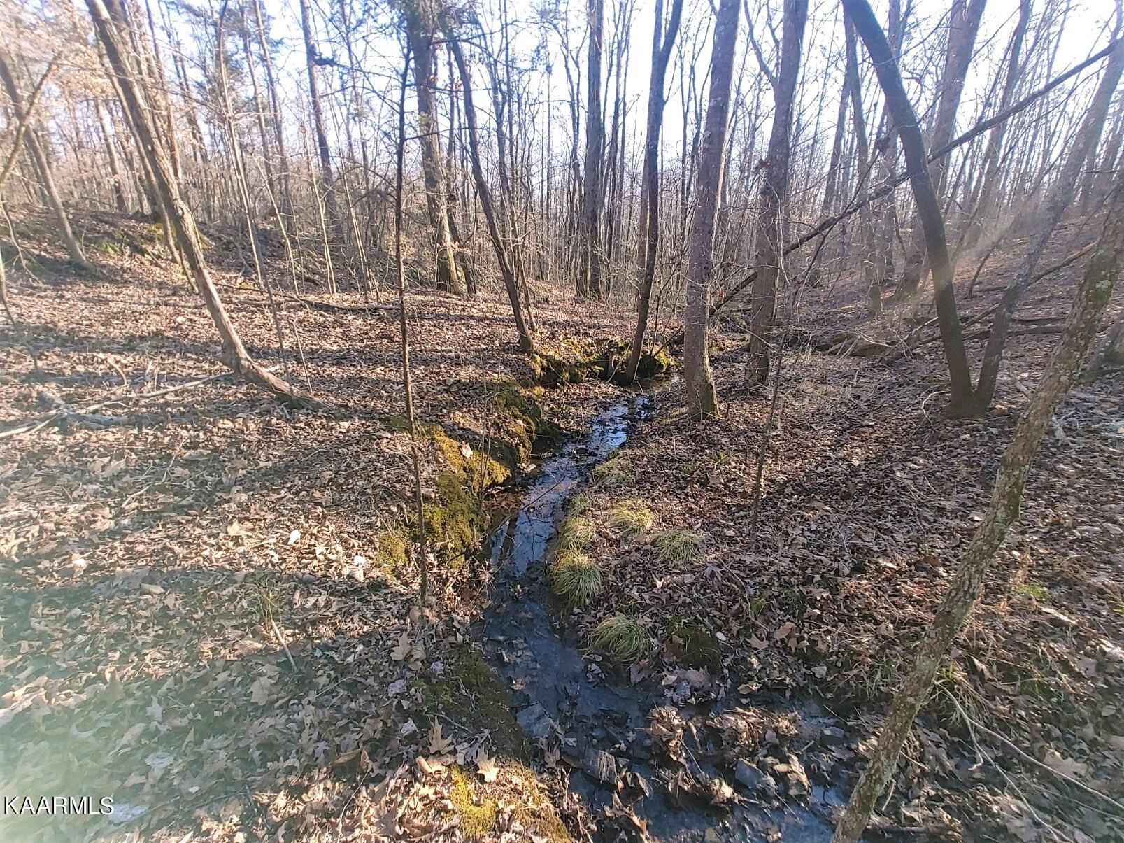 201 Pekoma Road Philadelphia, TN 37846 - Photo 25 of 27 Winter Creek3
