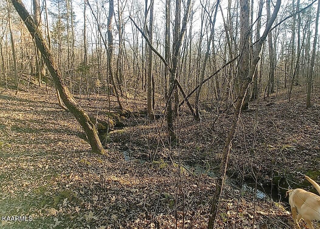 201 Pekoma Road Philadelphia, TN 37846 - Photo 26 of 27 Winter Creek4