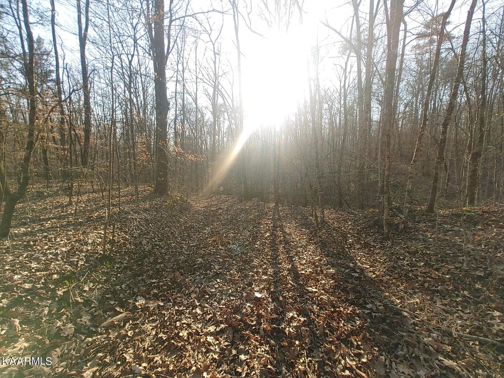 201 Pekoma Road Philadelphia, TN 37846 - Photo 27 of 27 Winter