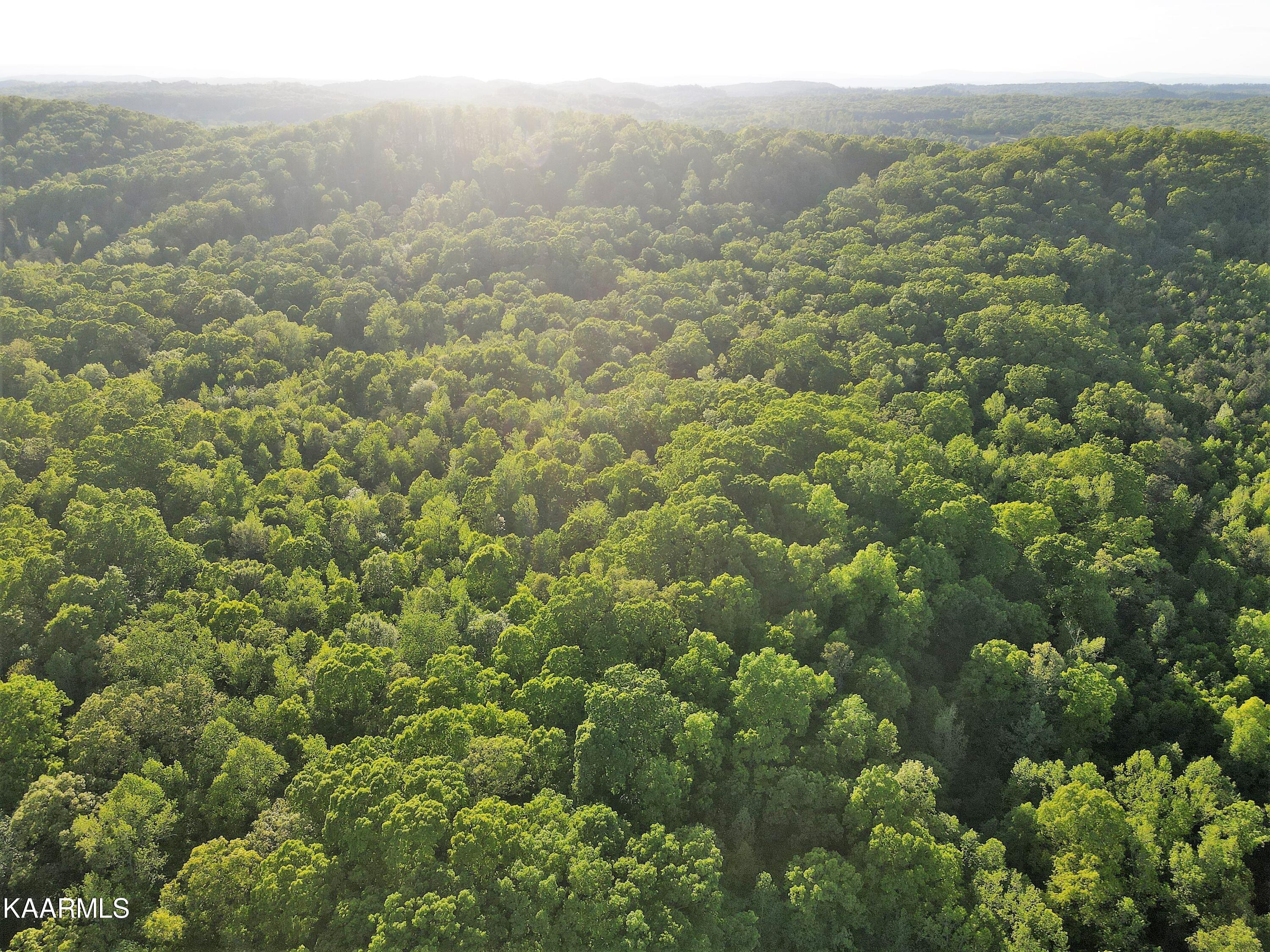 201 Pekoma Road Philadelphia, TN 37846 - Photo 4 of 27 Aerial 1