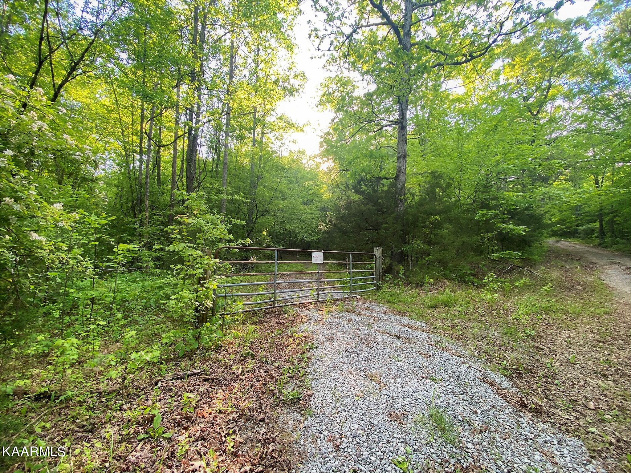 201 Pekoma Road Philadelphia, TN 37846 - Photo 5 of 27 Gate