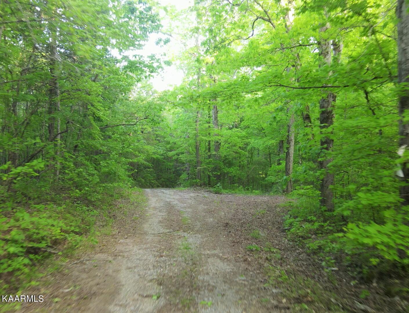 201 Pekoma Road Philadelphia, TN 37846 - Photo 7 of 27 Land1