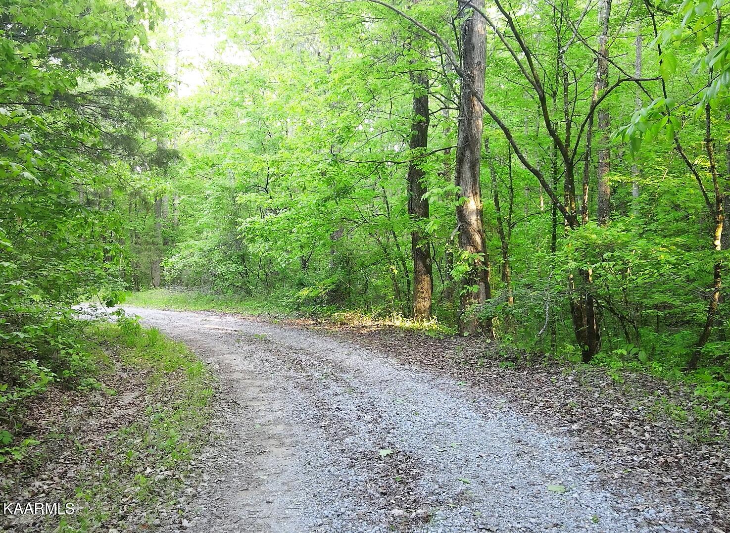 201 Pekoma Road Philadelphia, TN 37846 - Photo 8 of 27 Land2