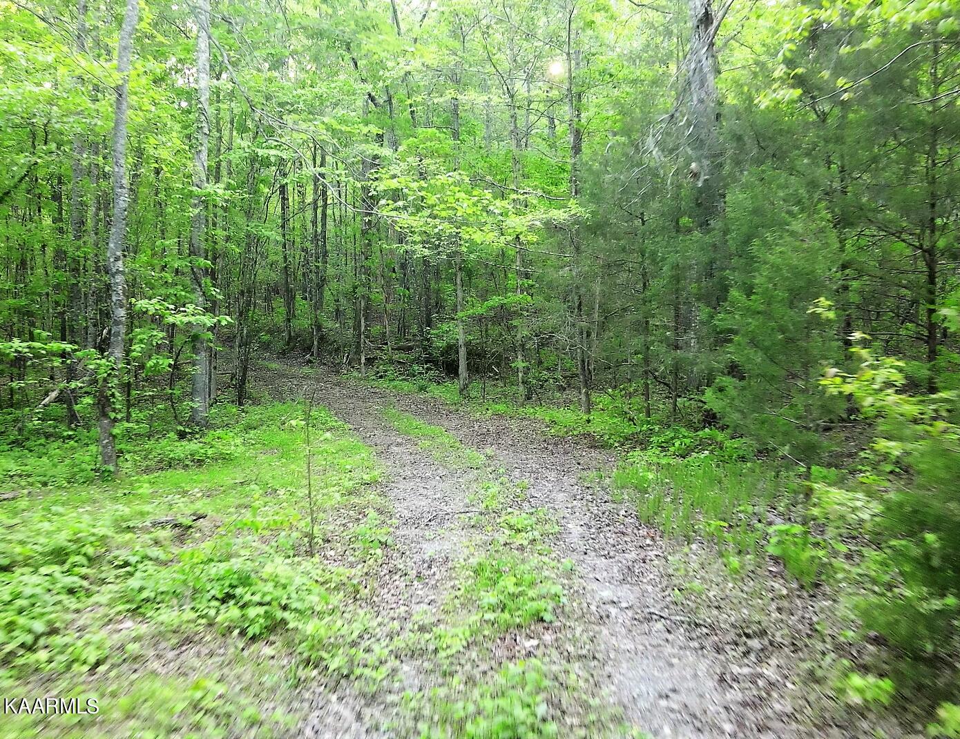 201 Pekoma Road Philadelphia, TN 37846 - Photo 9 of 27 Land3