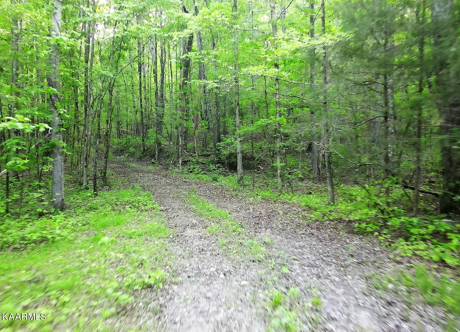 201 Pekoma Road Philadelphia, TN 37846 - Photo 10 of 27 Land4