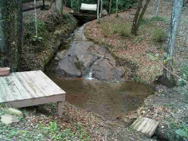 375 Butts Farm Road Westminster, SC 29693 - Photo 12 of 12 Gallery Image 12