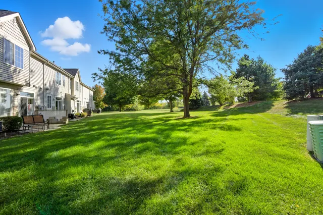 a view of a park with large trees