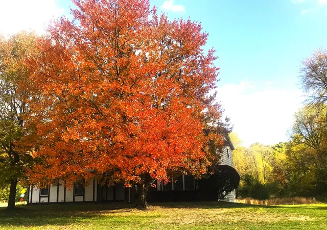 $364,900 | 9625 Oakview Drive, Portage, MI 49024