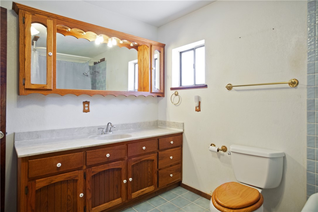 3696 Tonto Road Golden Valley, AZ 86413 - Photo 15 of 67 Bathroom