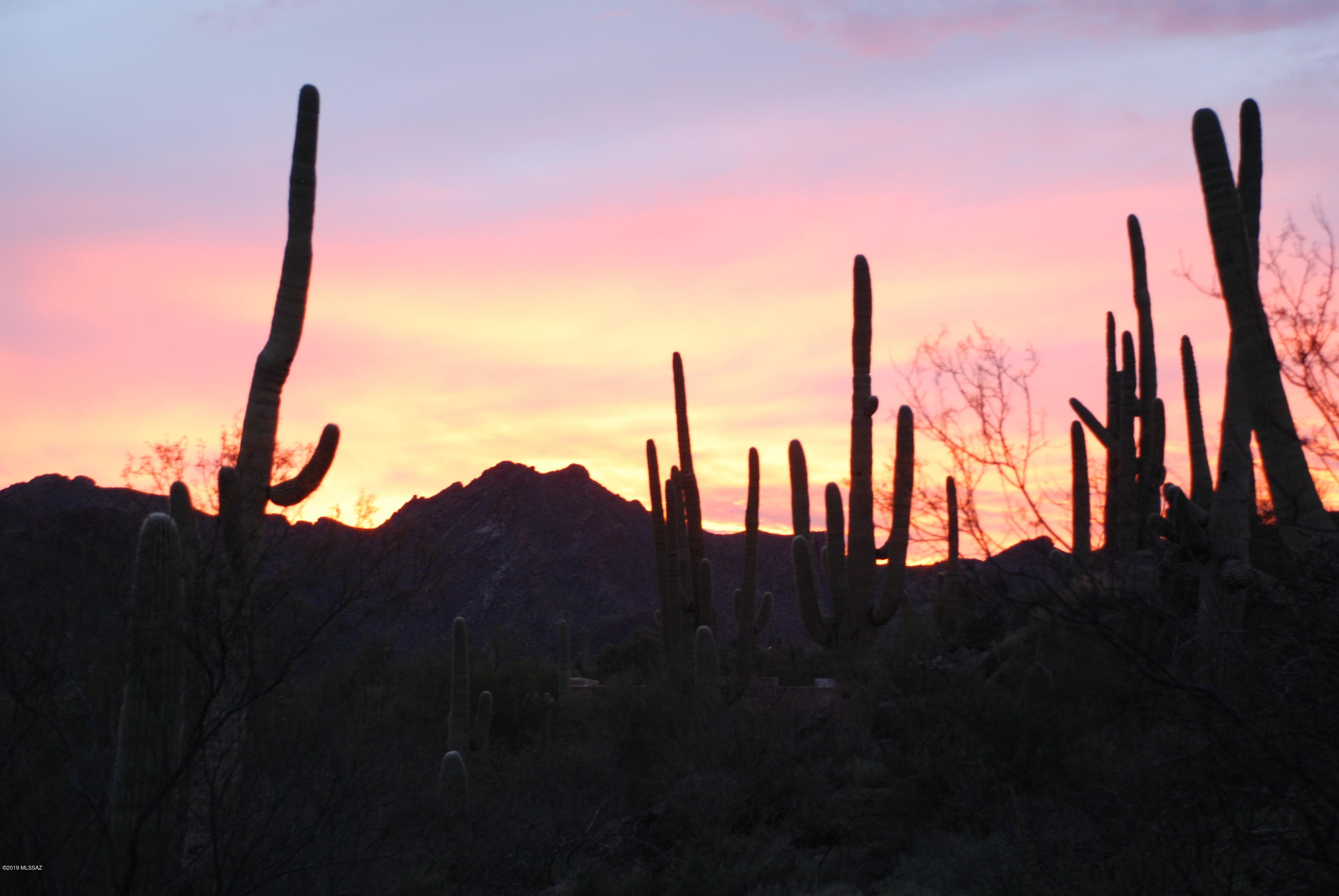 5140 West Trails End Road Tucson, AZ 85745 - Photo 46 of 46 Gallery Image 46