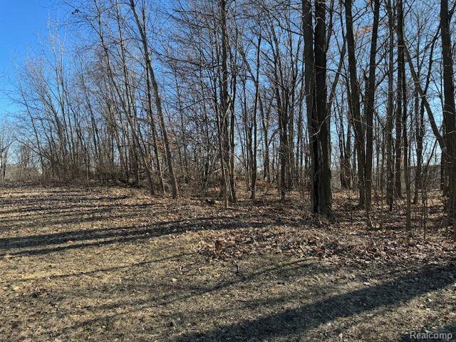 0 Dunckel Road Lansing, MI 48910 - Photo 5 of 6