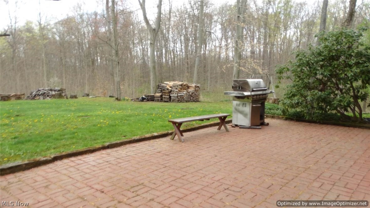 16466 Snow Road Chagrin Falls, OH 44023 - Photo 23 of 28 Gallery Image 23