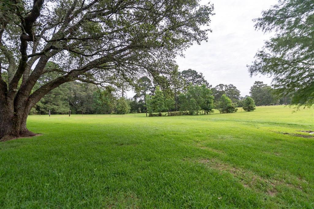 1874 Evangeline Road Glenmora, LA 71433 - Photo 12 of 30