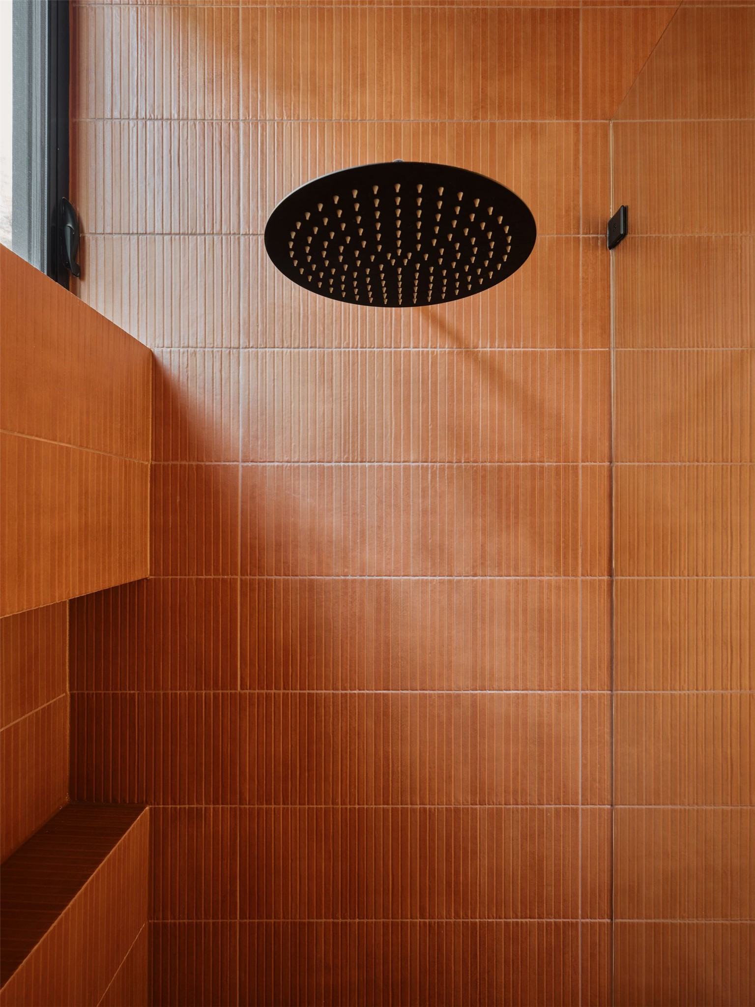 3209 Clawson Road Austin, TX 78704 - Photo 15 of 30 a view of a potted plant in a bathroom