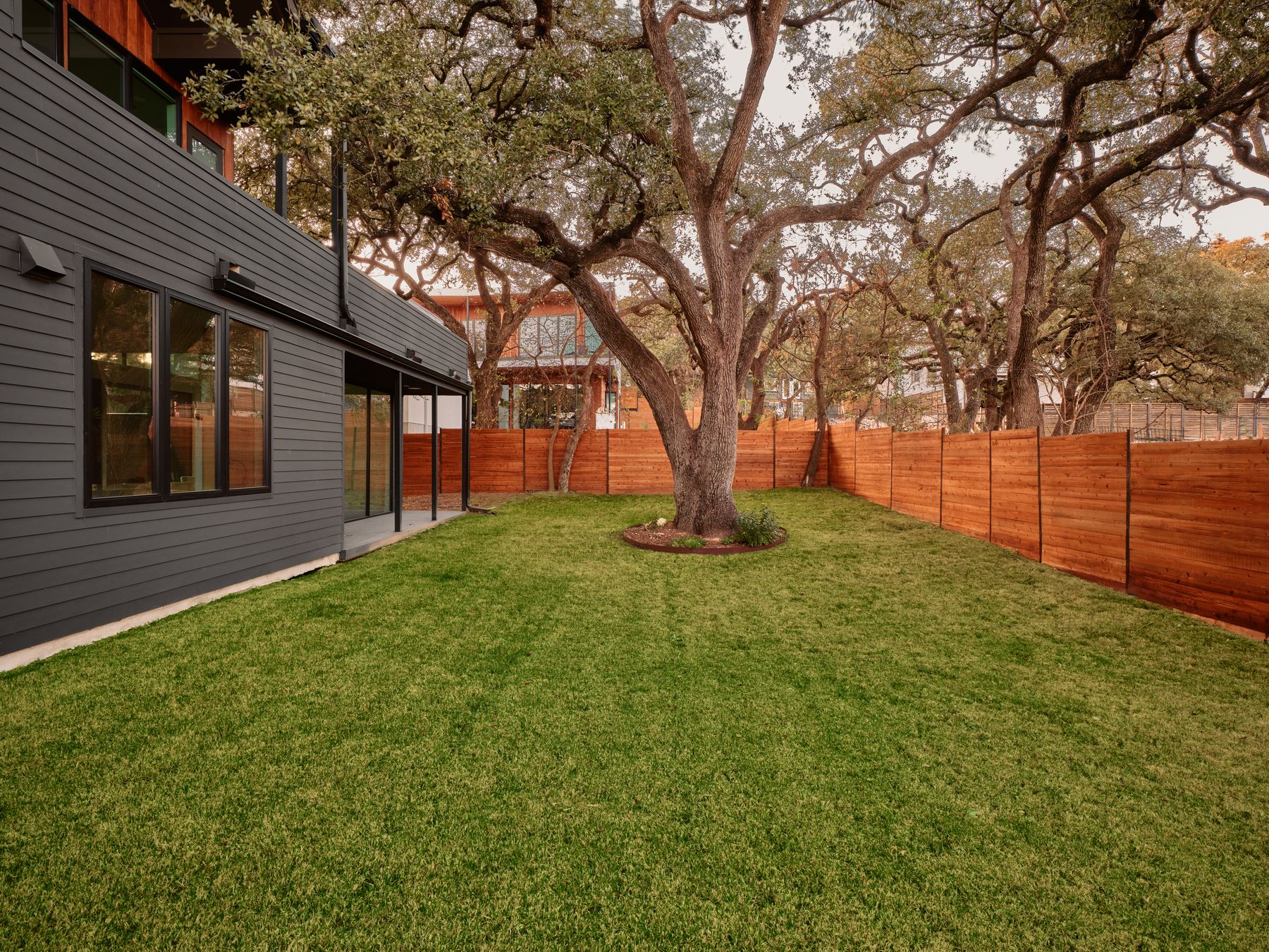 3209 Clawson Road Austin, TX 78704 - Photo 28 of 30 a view of a backyard with a large tree