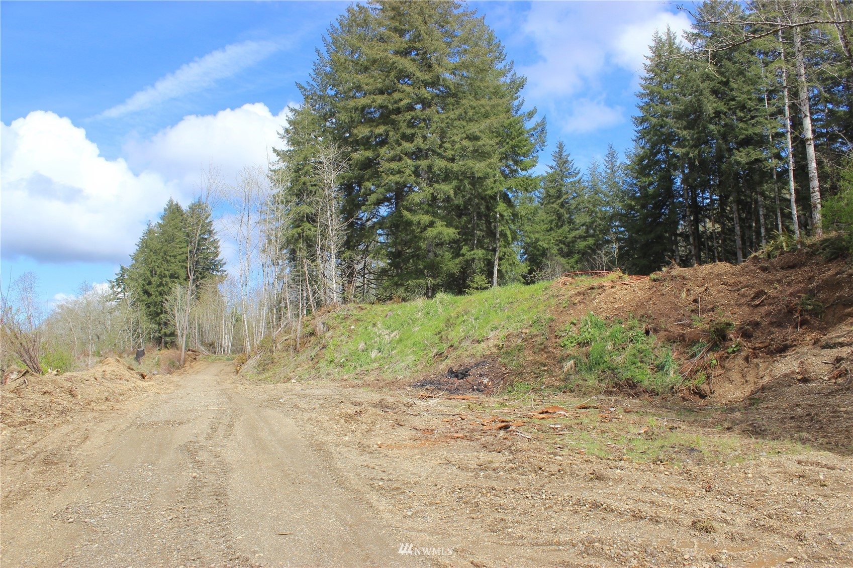 68 North Heise Road Elma, WA 98541 - Photo 1 of 40 Gallery Image 1