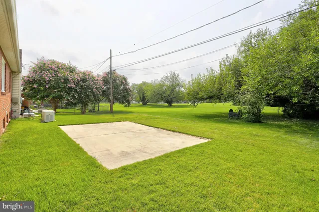 a view of a park with large trees