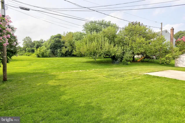 a view of a field of grass and trees
