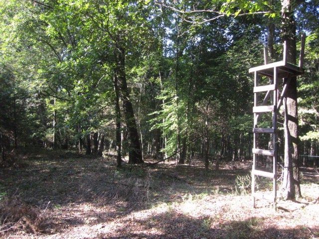 153 Mill Road Dry Fork, VA 24549 - Photo 24 of 28 Stand Location