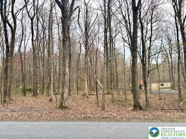 9170 North Loop Road Slatington, PA 18080 - Photo 2 of 8 a backyard of a house with lots of green space