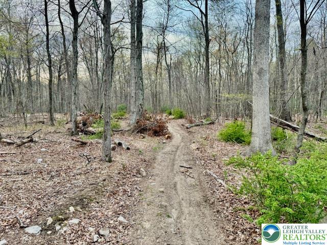 9170 North Loop Road Slatington, PA 18080 - Photo 3 of 8 a backyard of a house with lots of green space