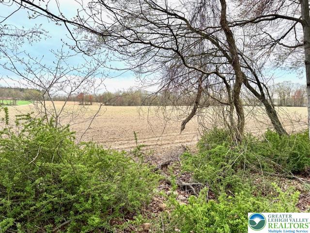 9170 North Loop Road Slatington, PA 18080 - Photo 4 of 8 a view of yard