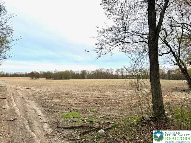 a view of lake with green space