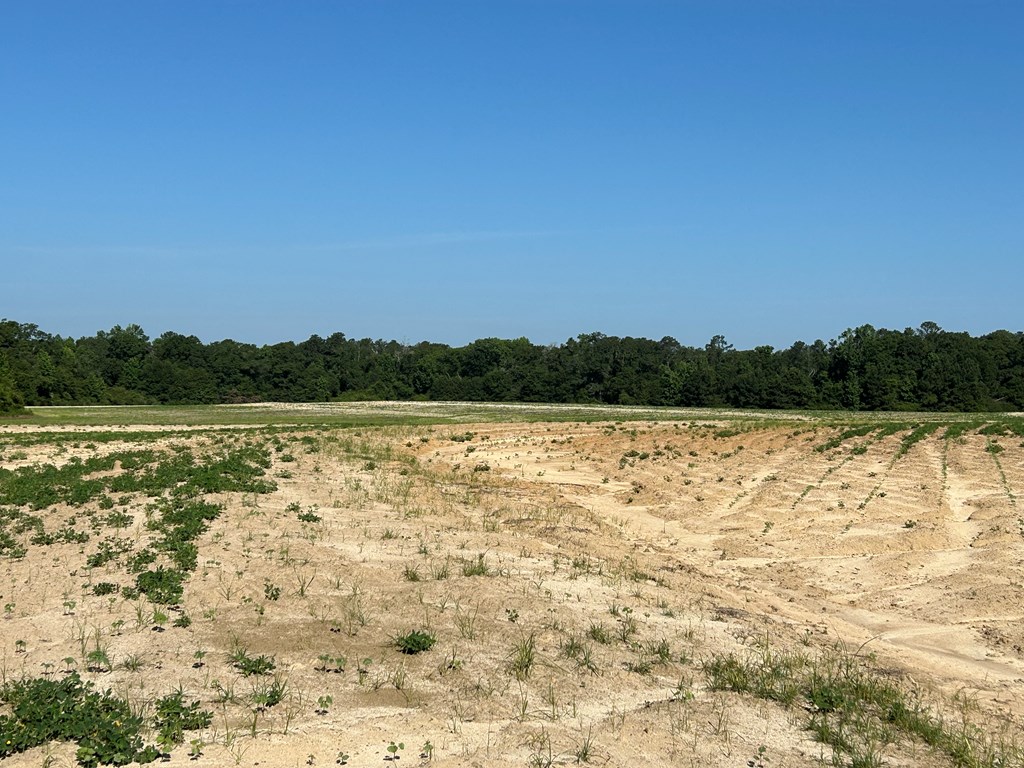 40.522-ac Cecil Varnum Road Dothan, AL 36301 - Photo 20 of 38