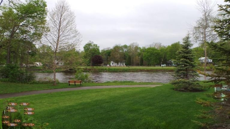 402 Rivers Edge Lane Portland, MI 48875 - Photo 2 of 19 Additional Photo