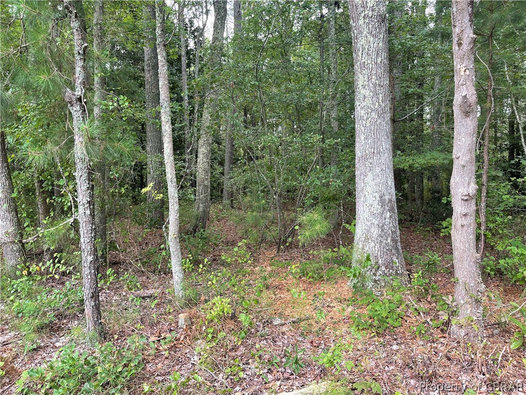 0 Line Fence Road Hayes, VA 23072 - Photo 5 of 14