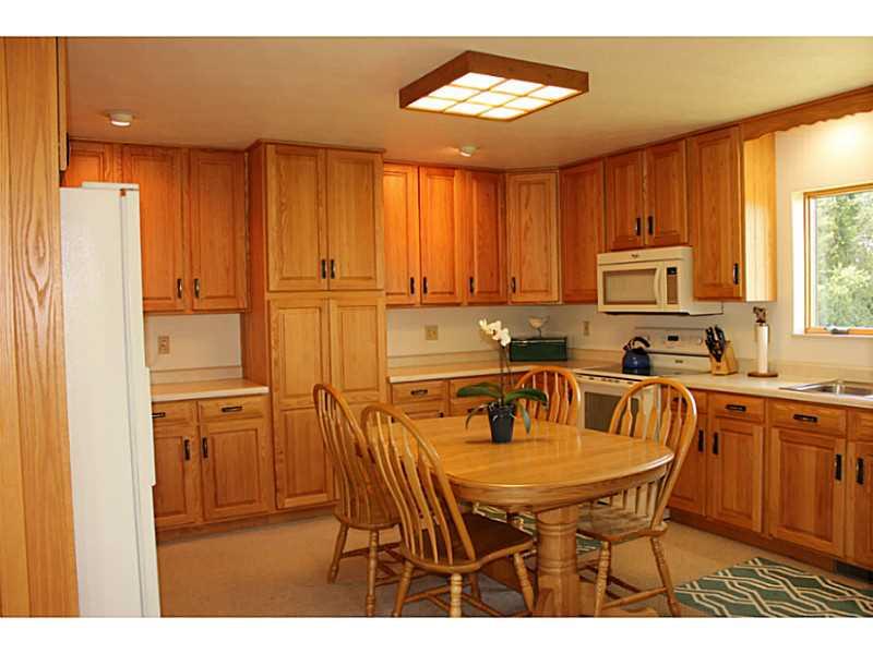 1044 Greenlick Road Mount Pleasant, PA 15666 - Photo 9 of 24 Kitchen.