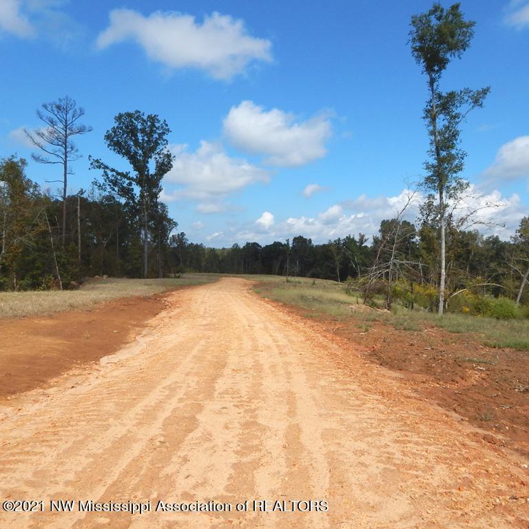 6439 Pea Ridge Road Grenada, MS 38901 - Photo 1 of 8 2 044 (2)