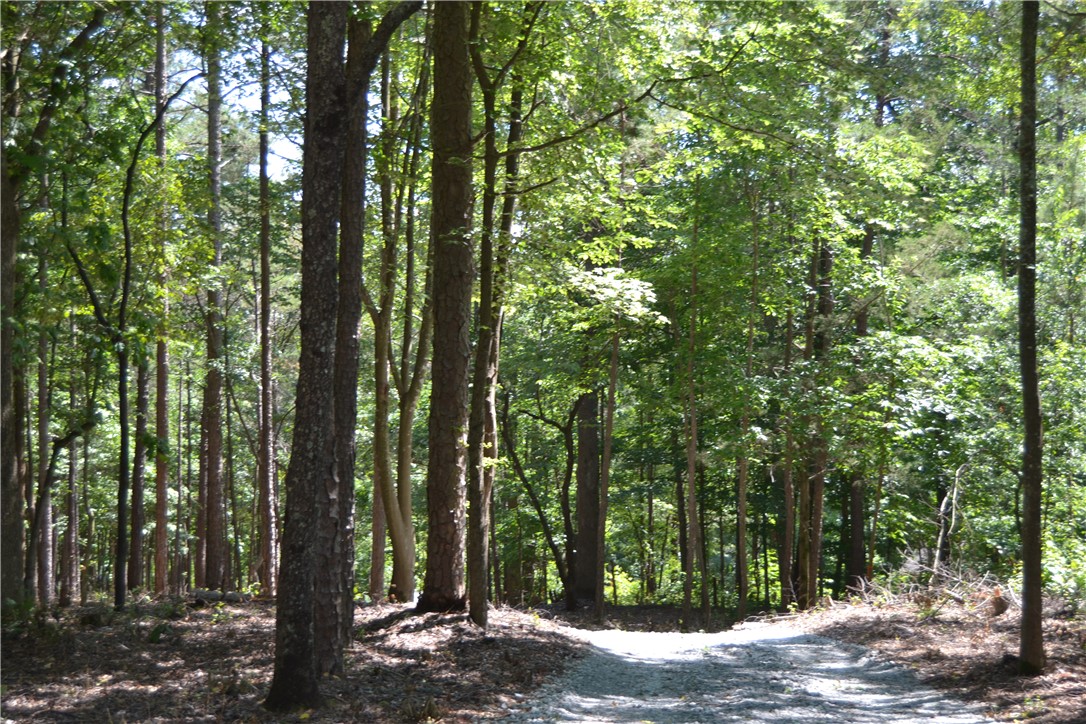 913 Paynes Creek Road Hartwell, GA 30643 - Photo 2 of 8