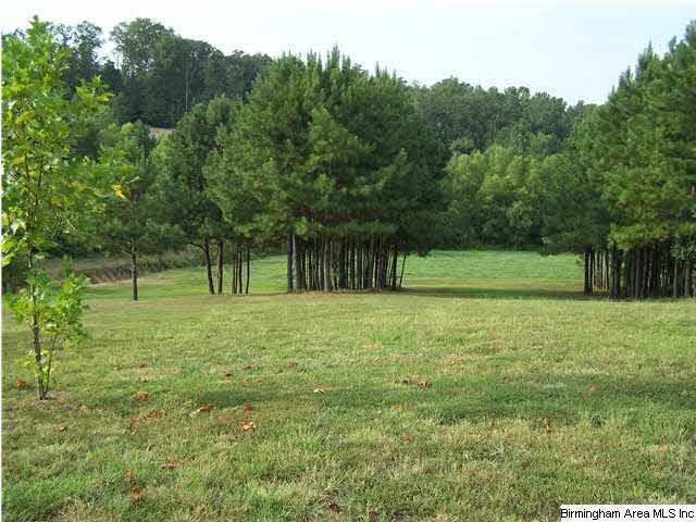 48588 Highway 231 Oneonta, AL 35121 - Photo 18 of 28