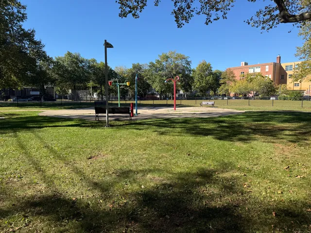 a view of a park with large trees