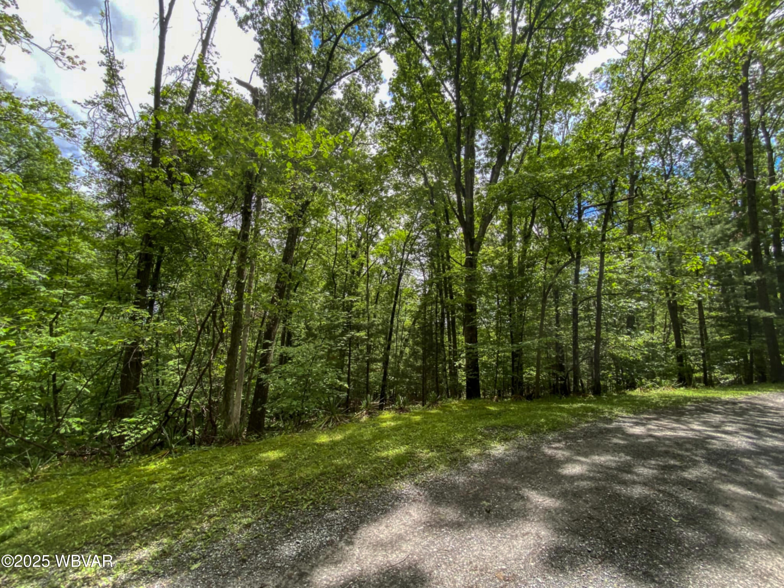 Dale Mountain Road Howard, PA 16841 - Photo 4 of 5 Land3_H