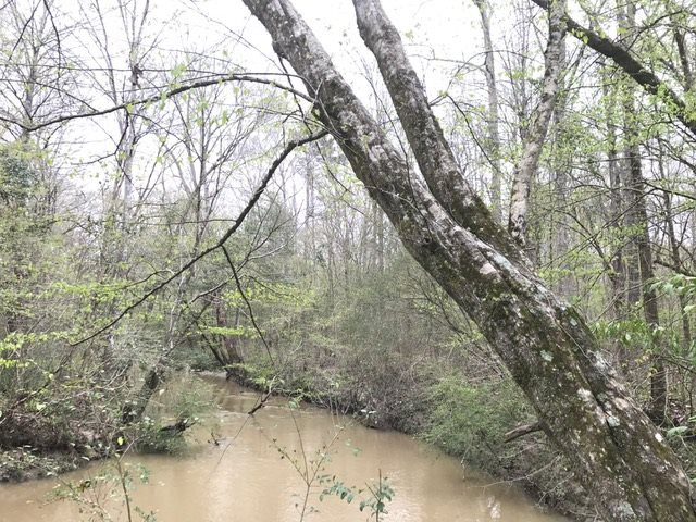 0 New Good Hope Church Road Pulaski, MS 39152 - Photo 27 of 40 Photo 27