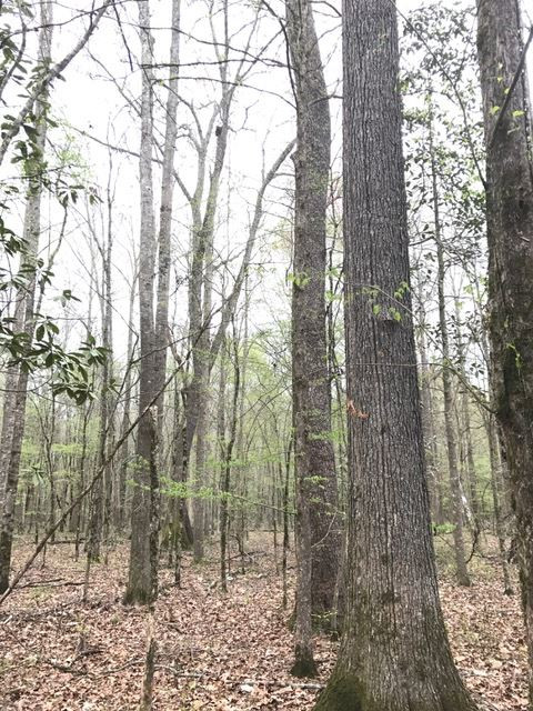 0 New Good Hope Church Road Pulaski, MS 39152 - Photo 29 of 40 Photo 29