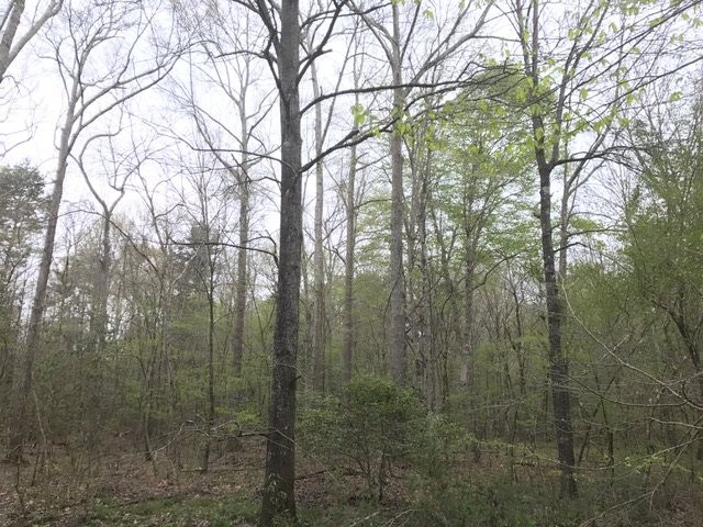 0 New Good Hope Church Road Pulaski, MS 39152 - Photo 31 of 40 Photo 31