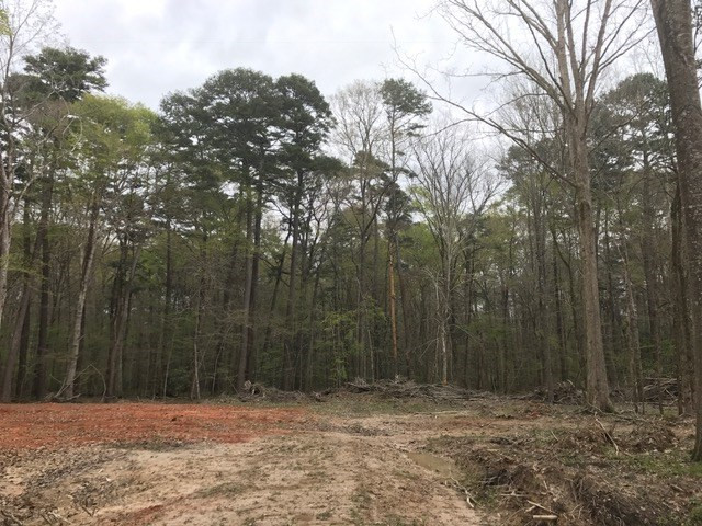 0 New Good Hope Church Road Pulaski, MS 39152 - Photo 39 of 40 Photo 39