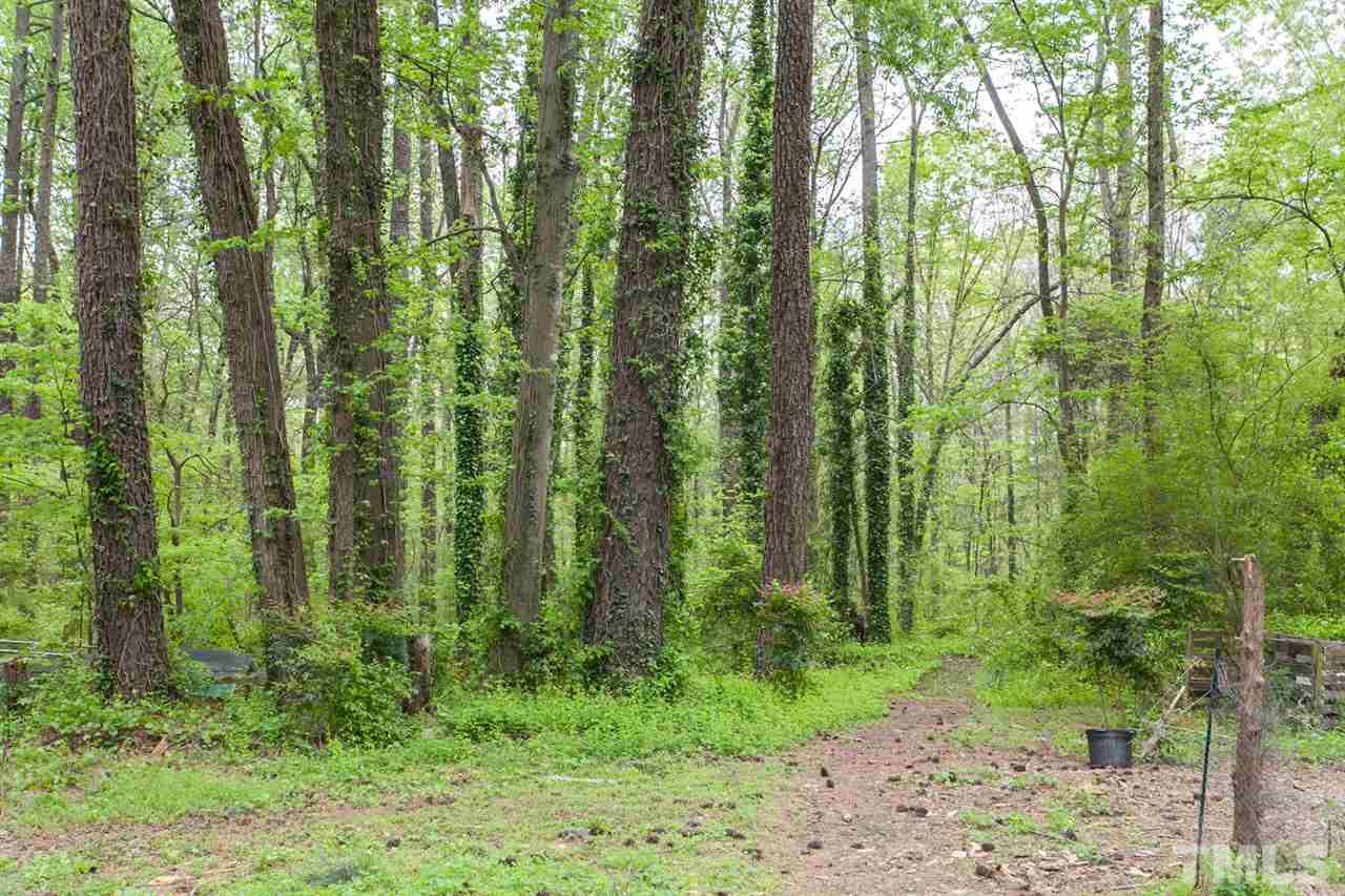 2509 Pickett Road Durham, NC 27705 - Photo 25 of 25 a view of a garden