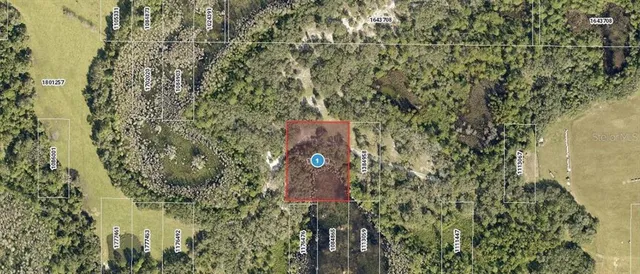 $20,000 | Roys Road, Groveland, FL 34736