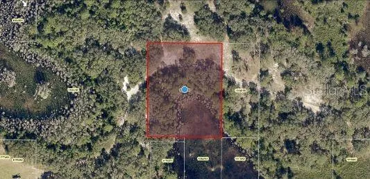 $20,000 | Roys Road, Groveland, FL 34736