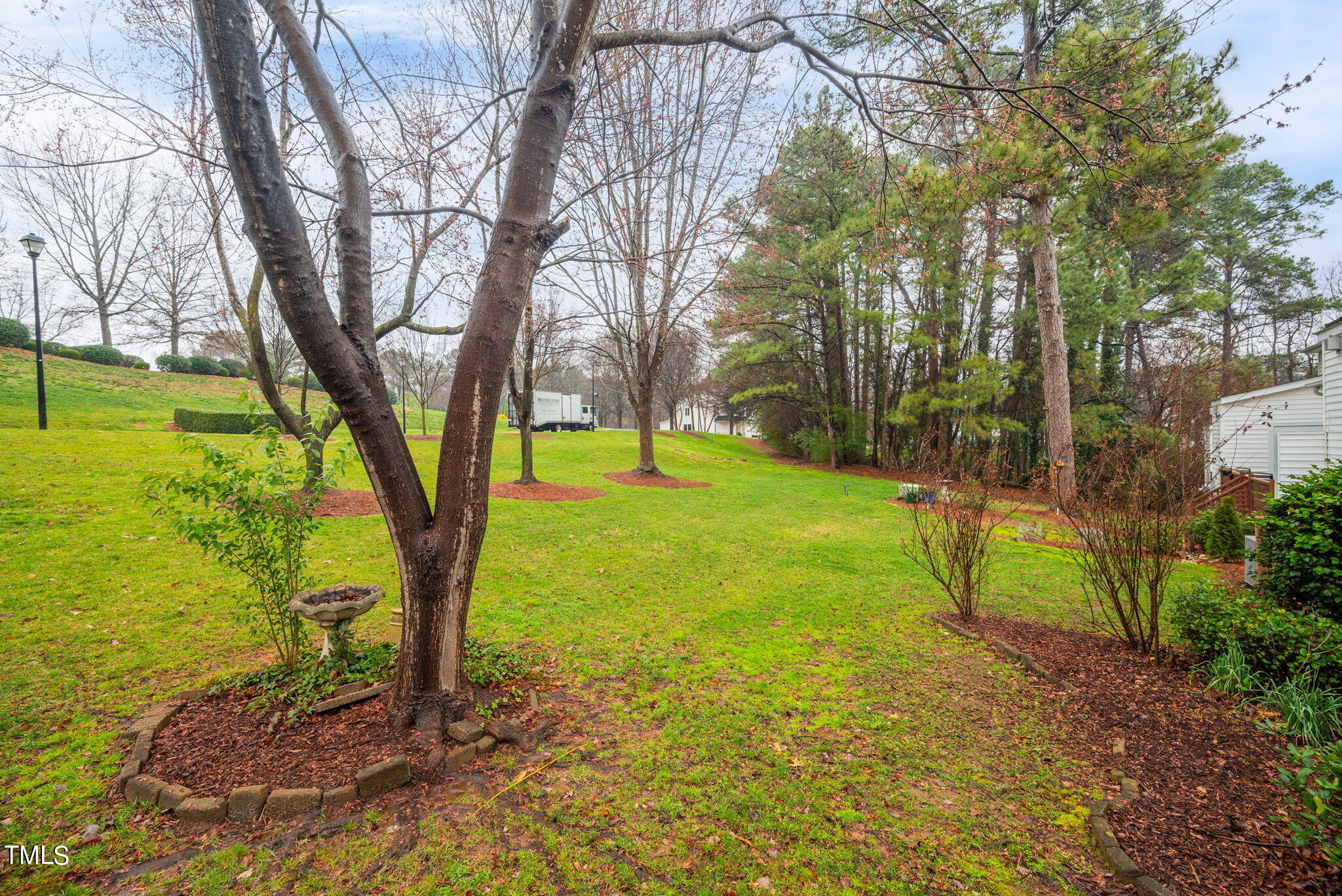 5326 Goldenglow Way Raleigh, NC 27606 - Photo 38 of 41 a view of a yard with a tree