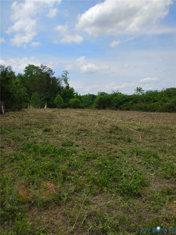 0 New Grove Road Kenbridge, VA 23944 - Photo 3 of 3