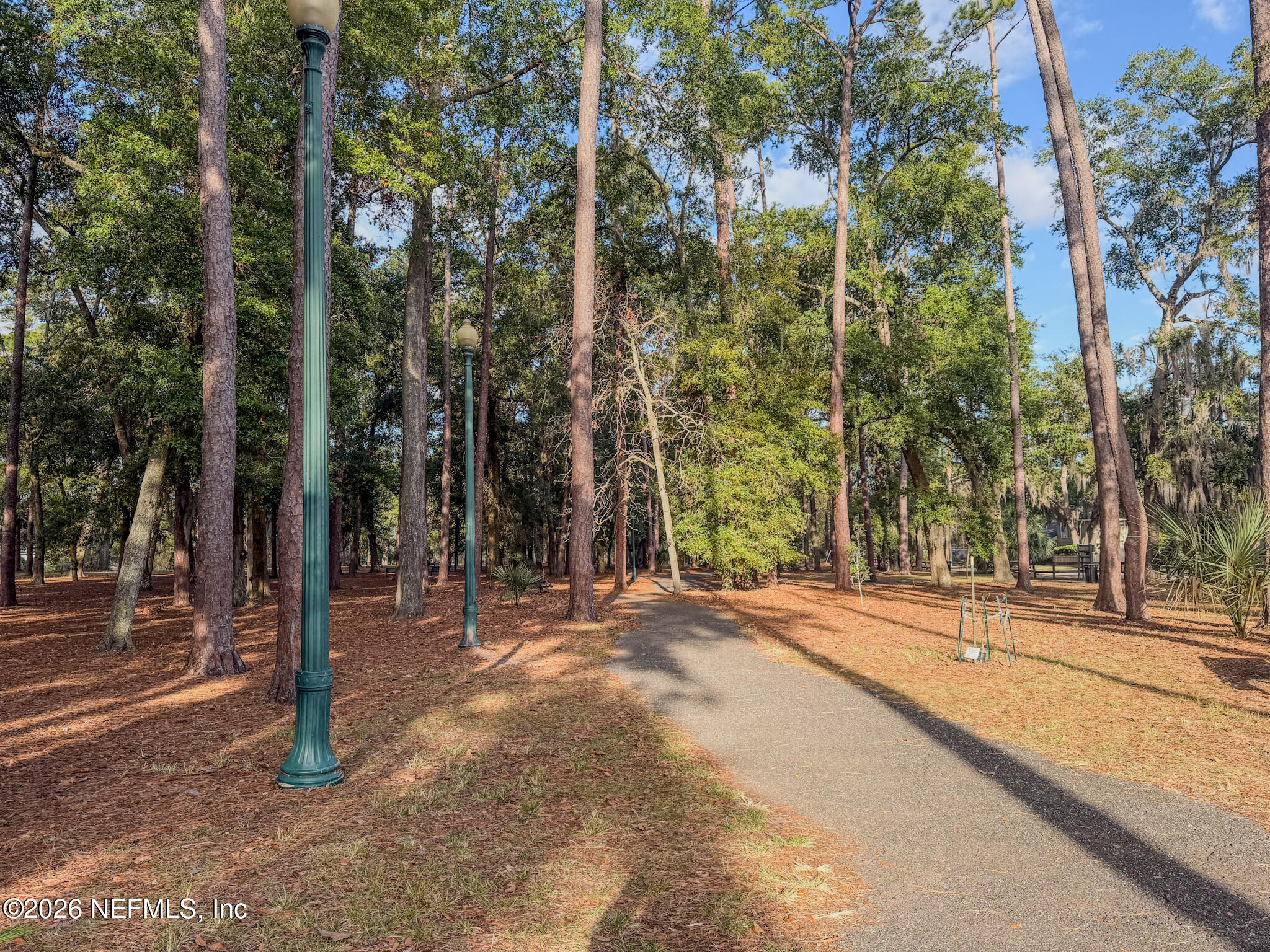 3664 Riverside Avenue Jacksonville, FL 32205 - Photo 17 of 19 a view of a park with trees